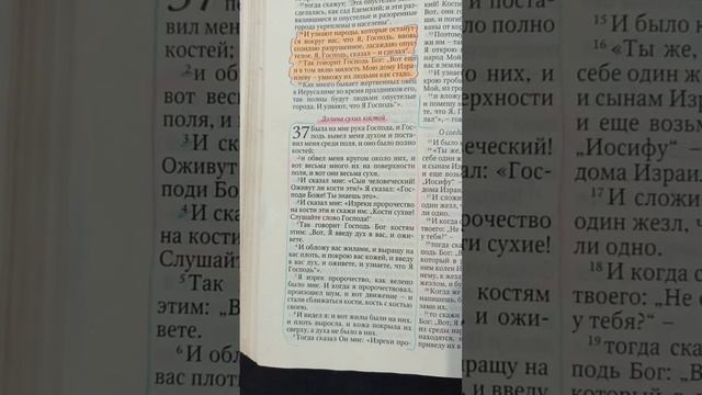 КАК ПРАВИЛЬНО МОЛИТЬСЯ / разбор Священного Писания #Иезекииль 37гл.