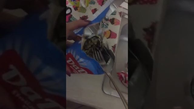 Апельсиновый сок "ДаДа"
