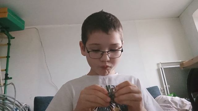 леплю из пластилина гипноденсера