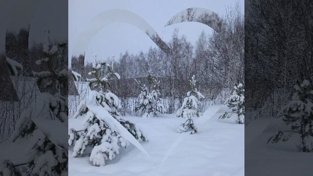 Зимний день