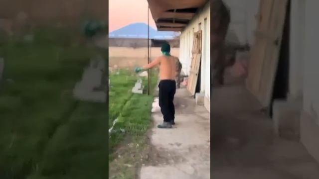 Шрек 5.mp4