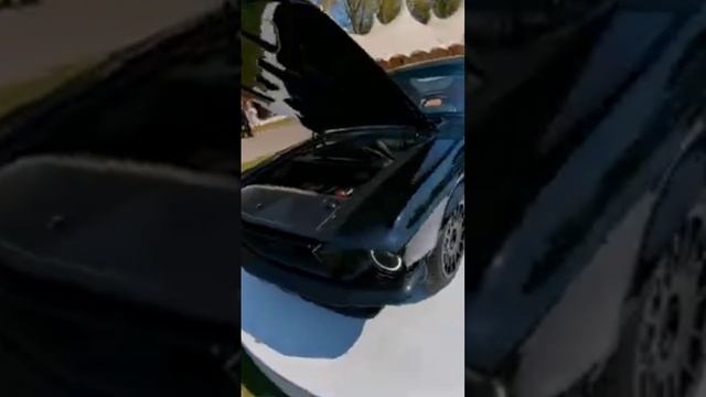 С вашим Mustang что-то не так... 👀