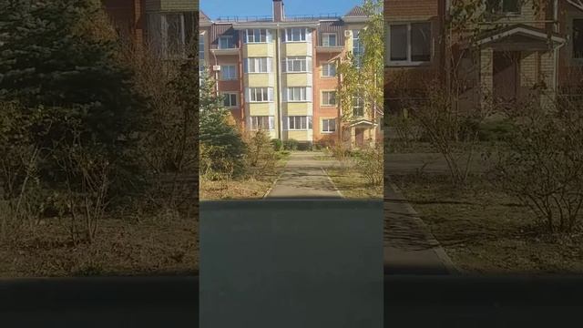 lv_0_20241123152155.mp4