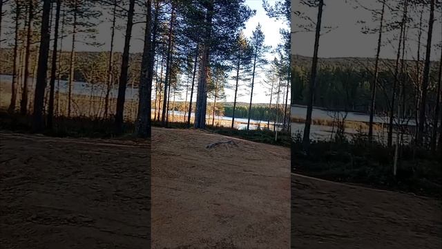 1000028916.mp4