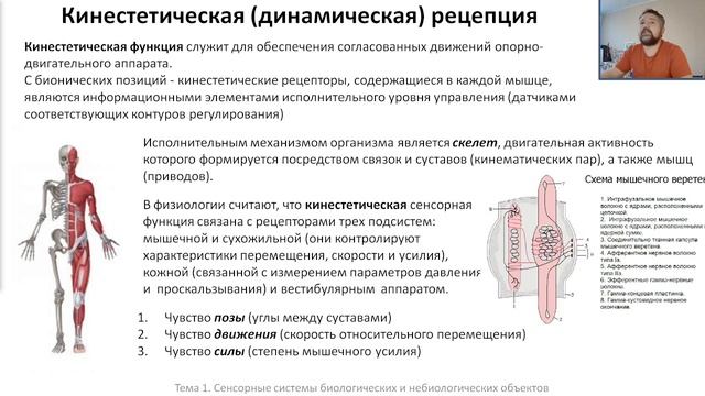 Тема 1. Сенсорные системы биологических и небиологических объектов