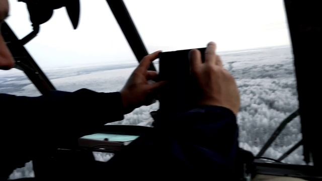 Обмороженная тайга
