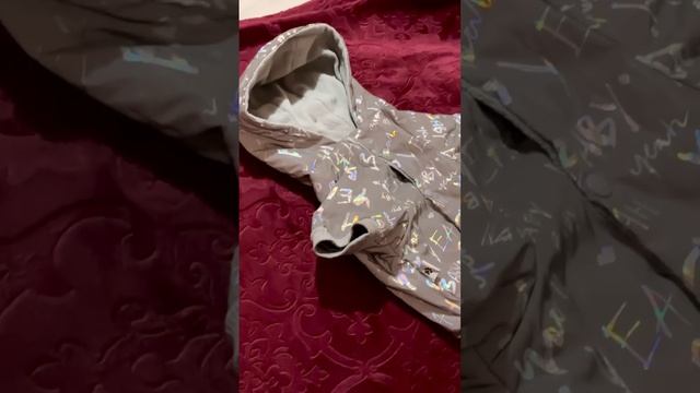 Комбинезон для собаки демисезонный