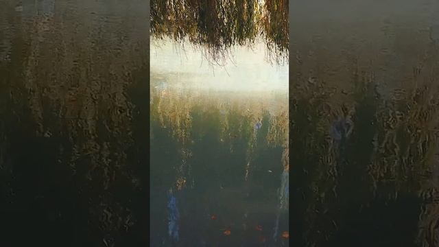 Владикавказ- осень