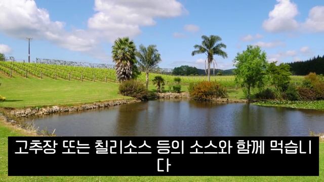 여름점심메뉴추천  [더운 여름 무엇을 먹을까 고민되시죠?]