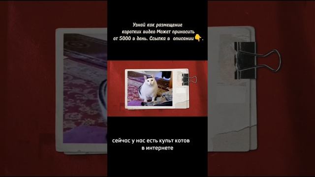 Что это было?