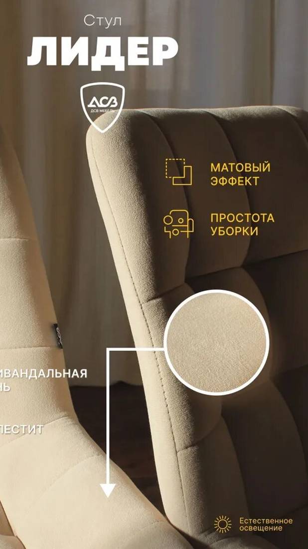 Стулья «Президент»