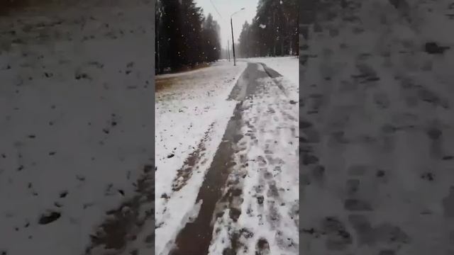 1000005915.mp4