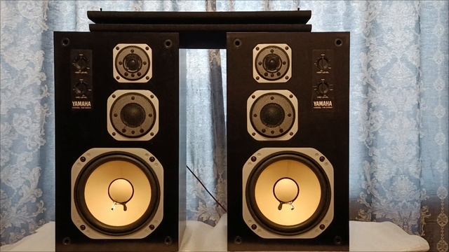 Yamaha ns-100m test