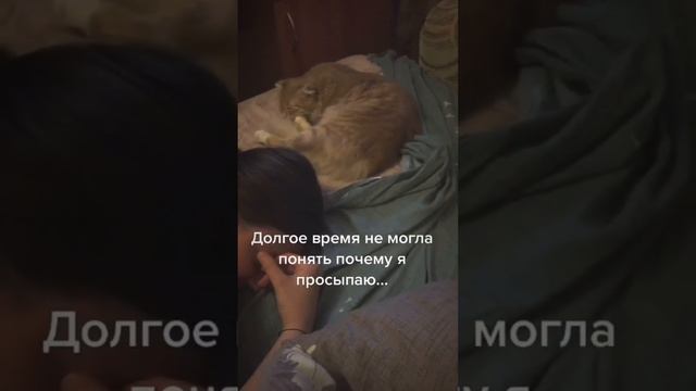 Кто же виноват?