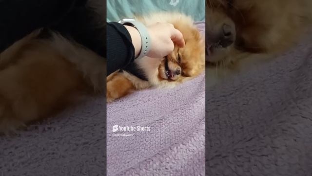 1000021003.mp4