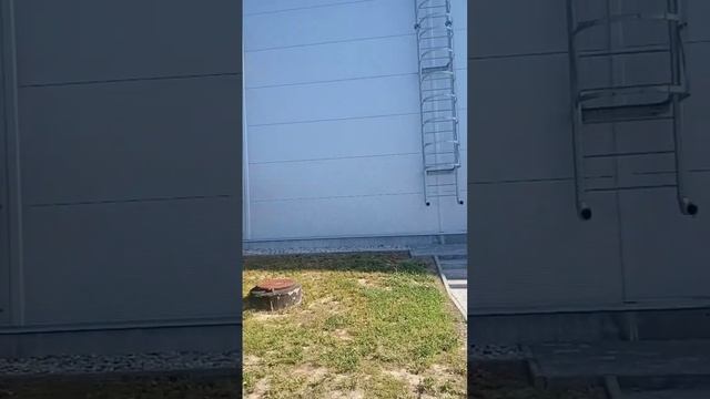 озон пушкино