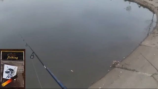 ПОИМКА НА СТИК🎣ОСНОВНОЙ ВОДОЁМ 🎣🐟🏆ТРИАЛ РУССКАЯ РЫБАЛКА 🎣