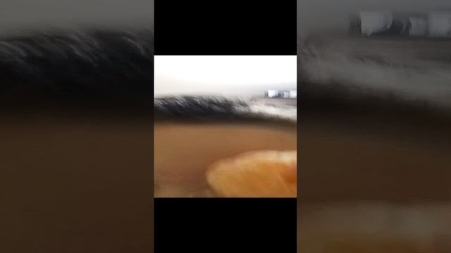 VID_20241204_182543