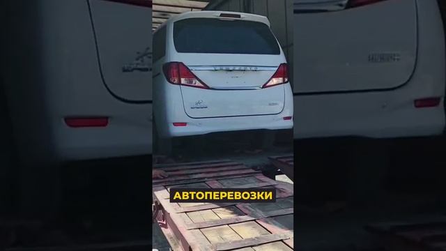 Чайниз Шисин Смарт Логистикс Ко., Лтд