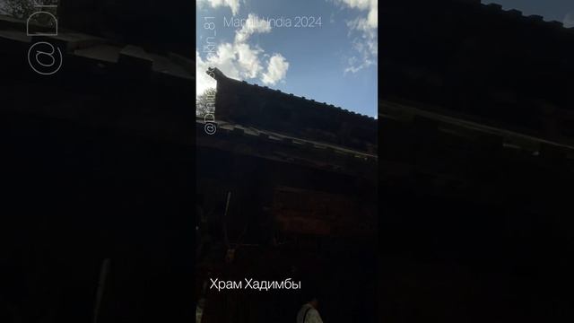 Древний пещерный Храм Хадимба Деви или храм Дунгари /  Hadimba Devi Temple