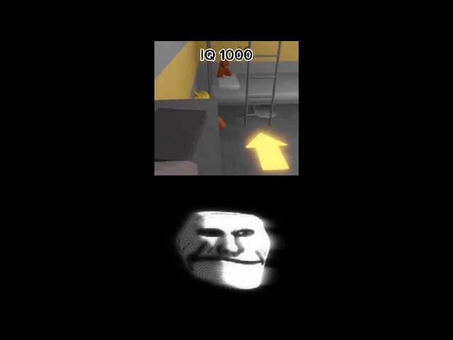 IQ 1000 Prison Obby