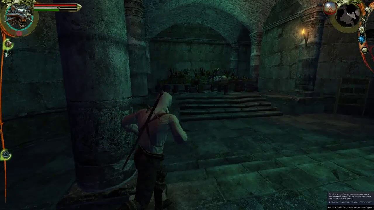 The Witcher Enhanced Edition