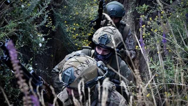 Российские войска зачистили Старые Терны к западу от Курахово