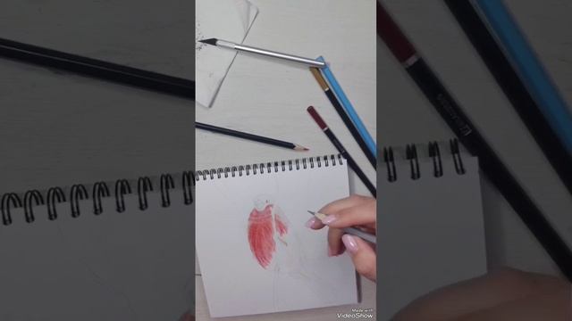 Рисунок цветными карандашами. Снегирь.mp4
