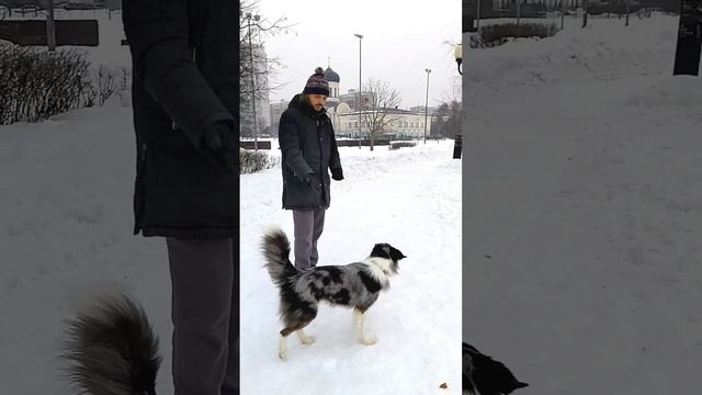 БК Арчи - флипы!
