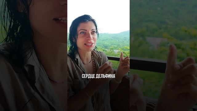 4 Декабря 2024 г.