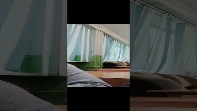 VID_20241112_135011.mp4