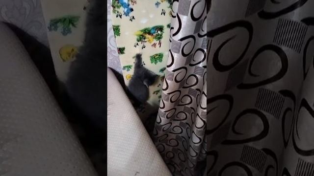 1000019105.mp4