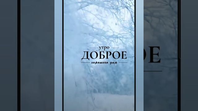 Доброе утро #доброеутро #благодарность