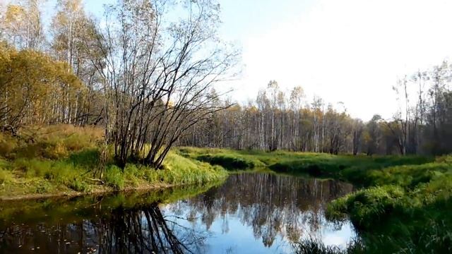 р.Пойк