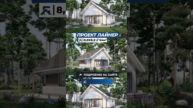 Проект "Лайнер"