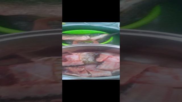 VID_20241204_121742.mp4