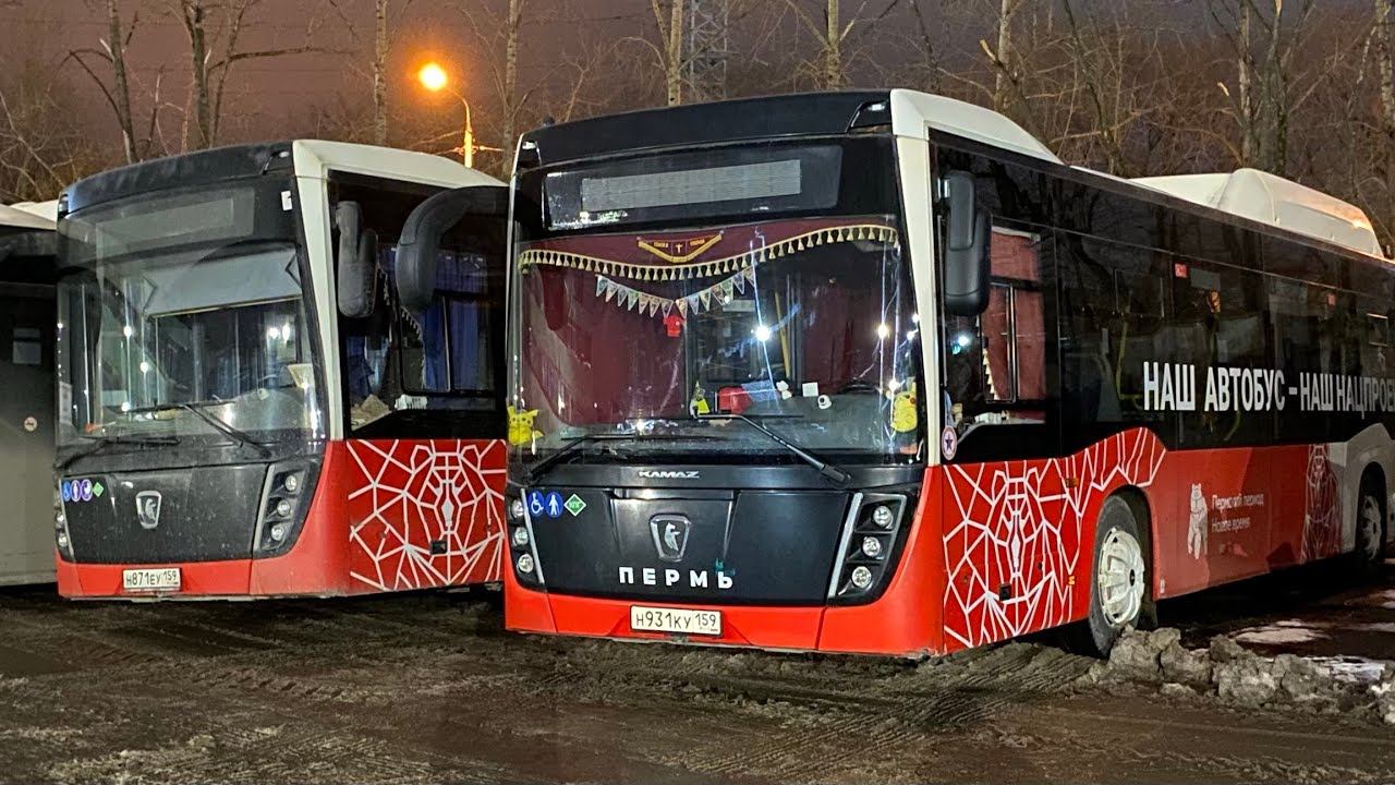 Новый сменщик! Сделали ТО, приобрели приколюхи для автобуса!
