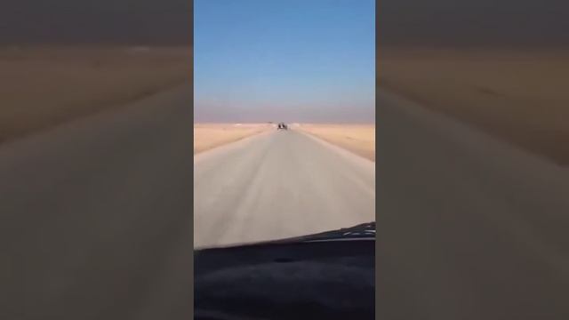 Турецкие СМИ сообщают, что в кадре оставленная при отступлении бронетехника правительственных войск