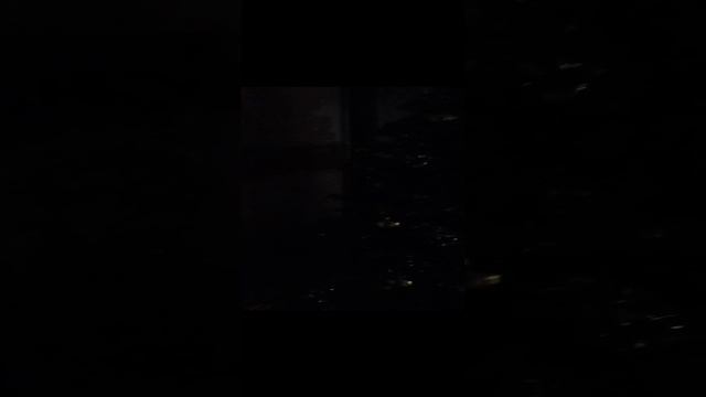 5 декабря 24 год