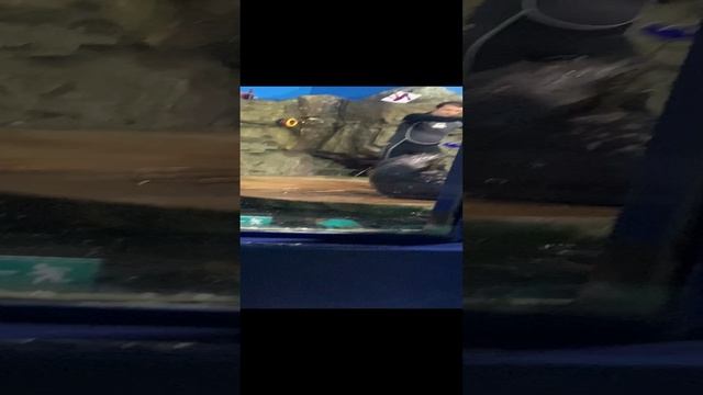Океанариум третья часть