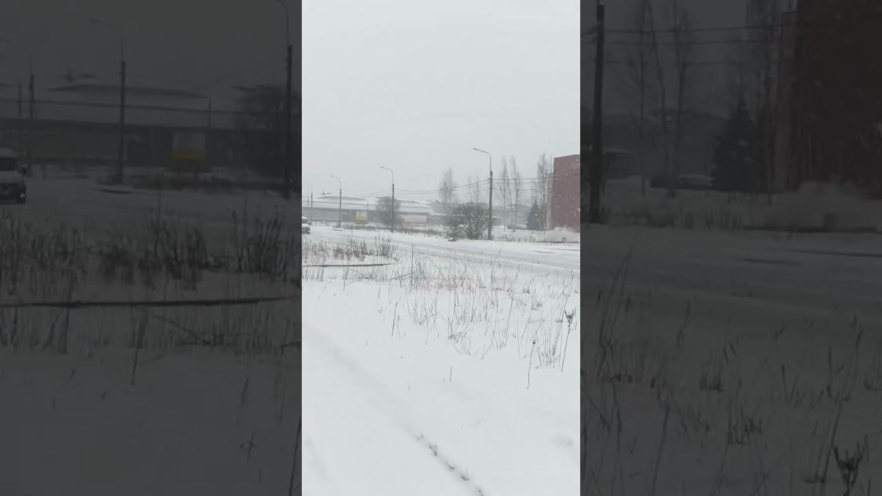 Весна пришла!) Мартовский снег растаял, Апрельский снег выпал) Санкт-Петербург. 3 апреля
