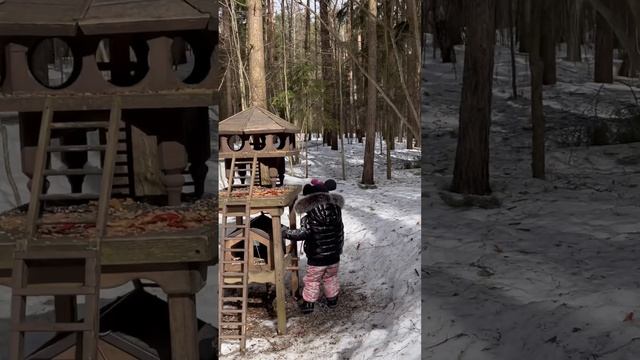 Прогулка по лесу 🌳🌳🌳 #2ода