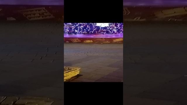 1000341595.mp4