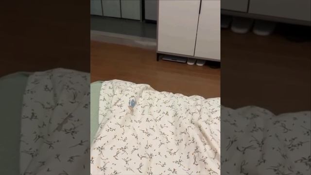 ой😹
