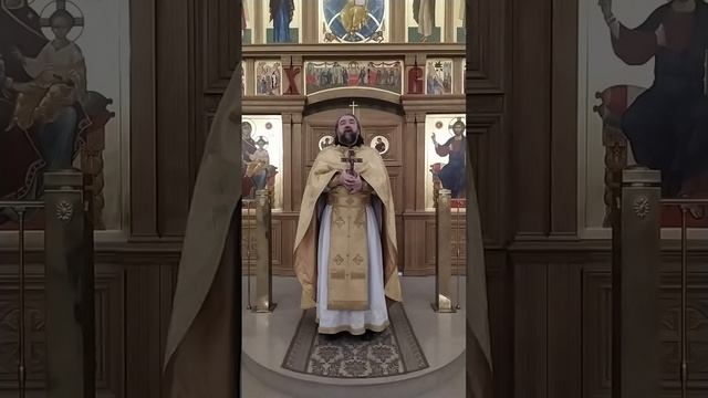 Царство Божие внутрь вас есть. О внутреннем мире христианина. Проповедь о. Андрея. 2.12.24