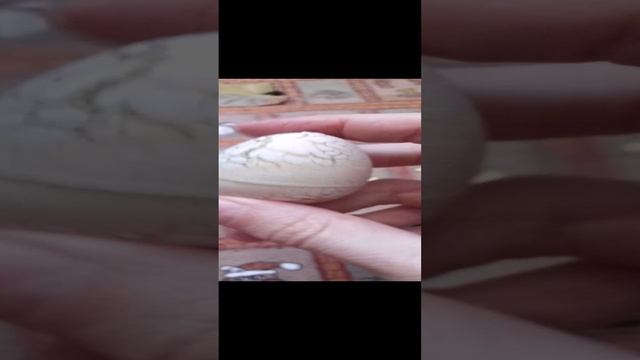 Распаковка адвент-календаря (3 декабря 2024)