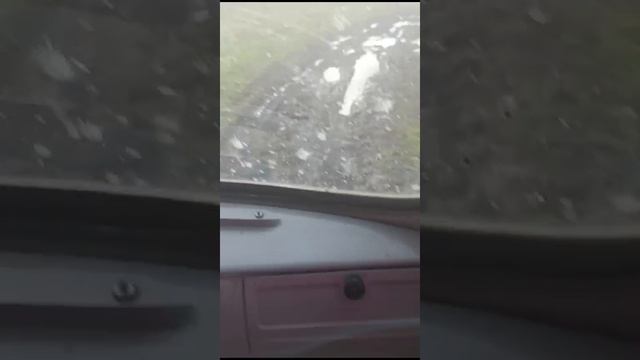 Прокатил супругу)