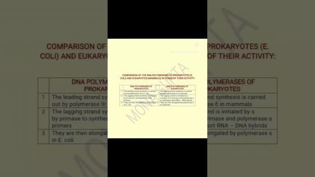 Comparison of DNA polymerase of Prokaryotes and Eukaryotes