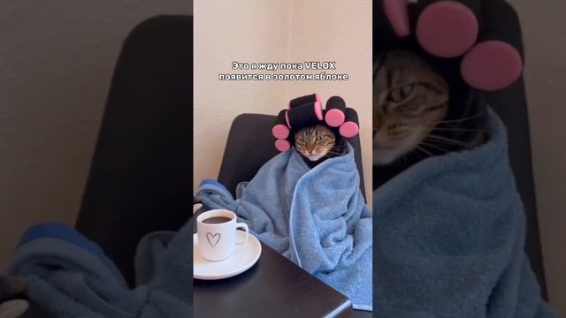 А вы ждете?🥰