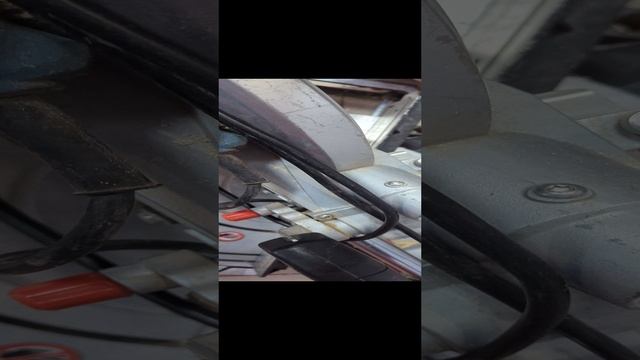 1000003525.mp4